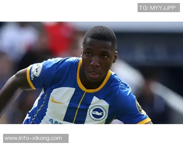 厄瓜多尔主帅透露凯塞多伤情严重卡皮耶出战前景堪忧 厄瓜多尔主帅透露凯塞多伤情严重卡皮耶出战前景堪忧