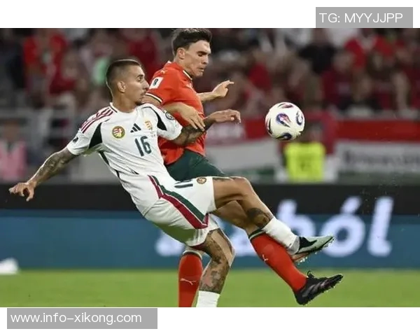 帕利尼亚坚定信心期待11月份锁定世界杯资格只差一步之遥 帕利尼亚坚定信心期待11月份锁定世界杯资格只差一步之遥