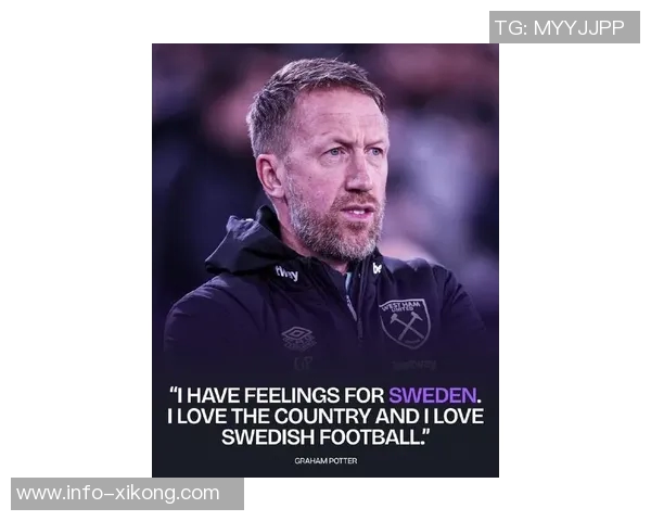 瑞典足协积极接触波特联赛重燃激情期待新赛季表现